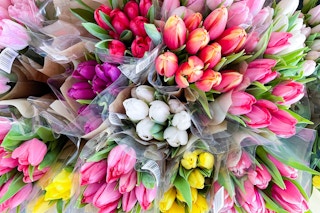 assorted bouquets of muti color tulips at trader joes