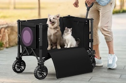Amazon's Choice: Collapsible Wagon Cart, Now $29.99 card image