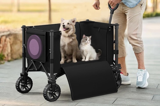 Amazon's Choice: Collapsible Wagon Cart, Now $29.99
