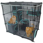 Outdoor Cat Enclosure Catio