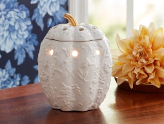 walmart-the-pioneer-woman-wax-warmer-2021