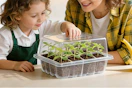 child and parent using seed starter tray
