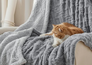 a cat sitting on a grey blanket on a couch