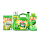 Gain Laundry Bundle