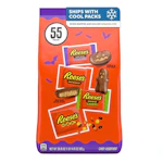 2 Reese's Halloween Candy Variety Bag