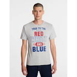 Way To Celebrate Men's Graphic Tee