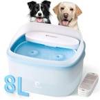 Dog Water Fountain