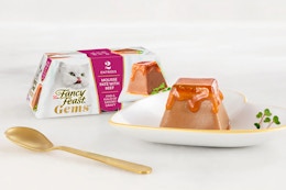 free fancy feast