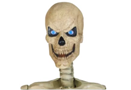 Skelly Scary Head