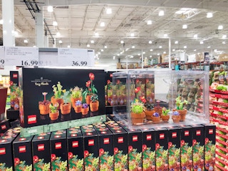 costco lego icons tiny plants 1
