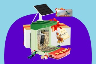  Bilantan Smart Bird Feeder with Camera Solar on a purple background.