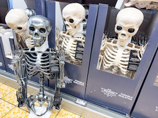 aldi-halloween-posable-skeleton