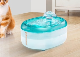 screen shot 2023 09 01 at 91231 am 1693577563 1693577563