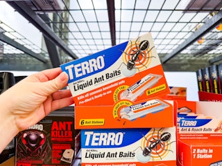 Walmart Terro ant killer