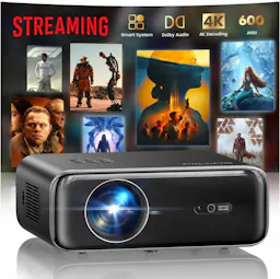 Smart Outdoor Projector