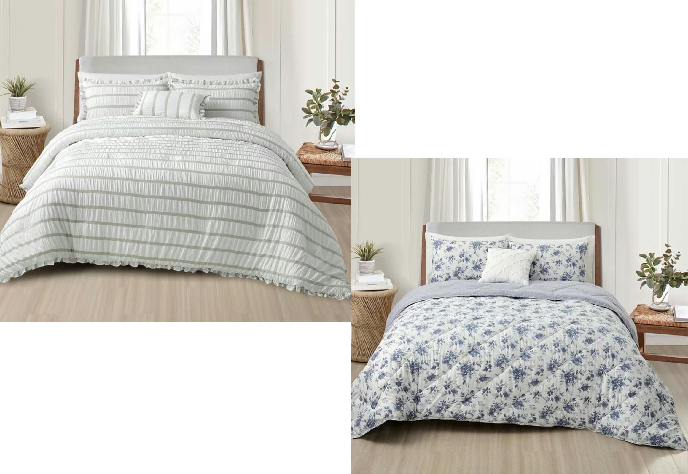Splendid Comforter Set