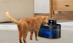 a cat at a pet water fountain 