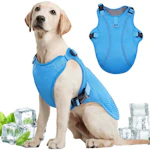 Dog Cooling Vest