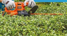 a hedge trimmer trimming hedges