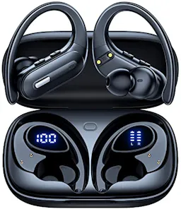 Wireless Earbuds