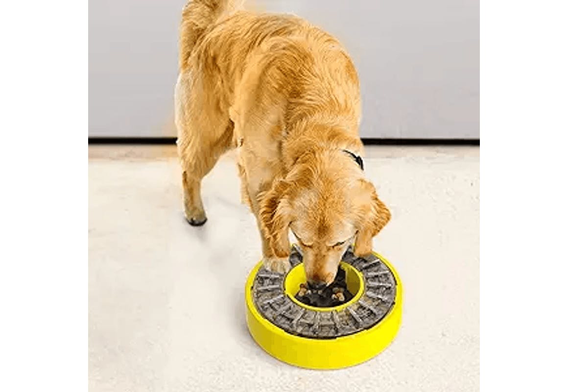 Dog Feeder