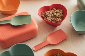 Ollie Fresh Dog Food + Free Gifts