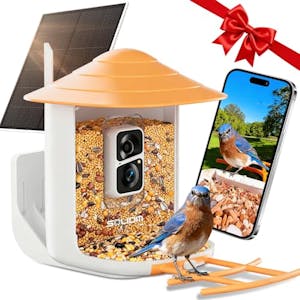 Solar Bird Feeder Camera