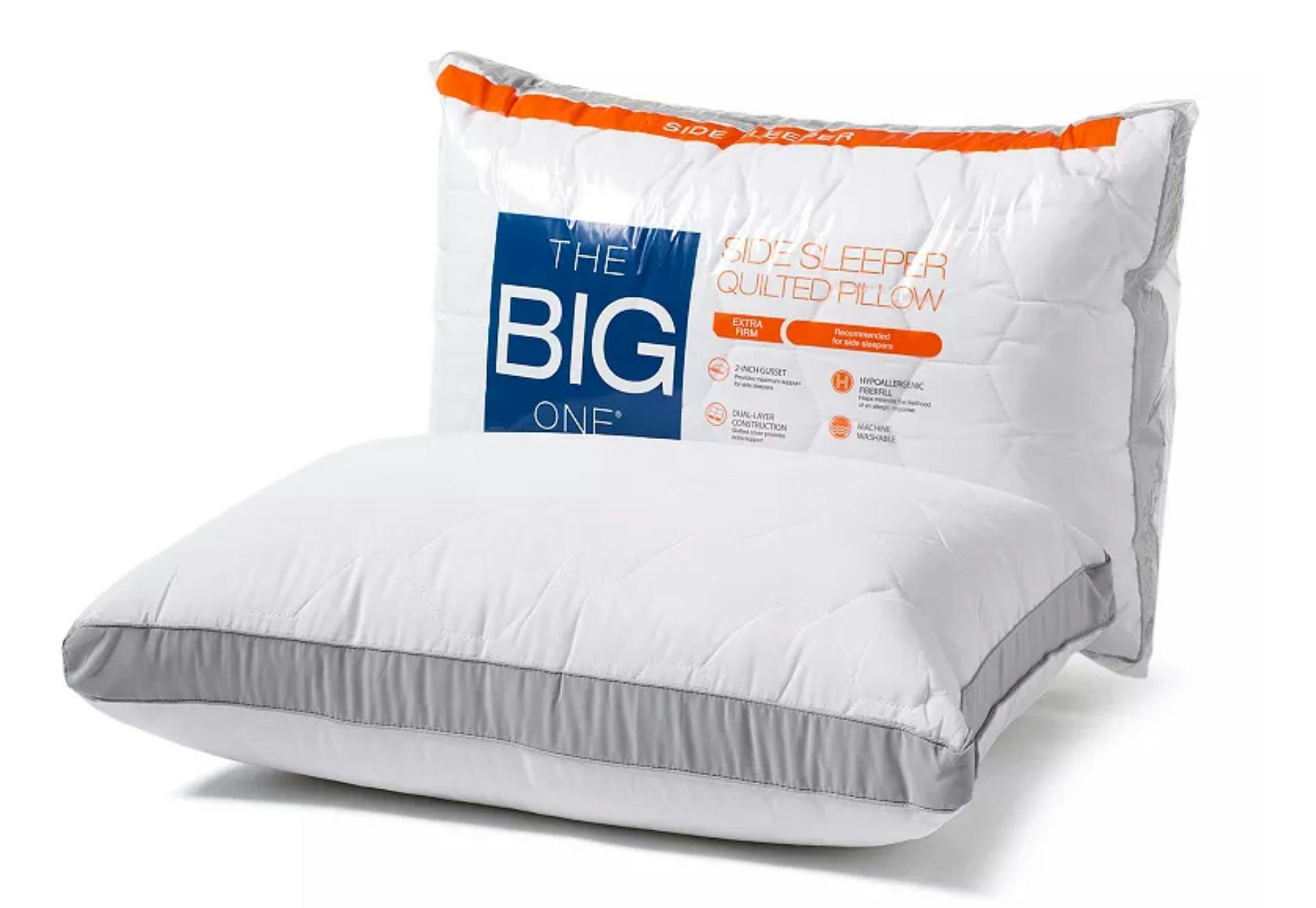 The Big One Pillow
