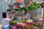 The Home Depot hanging baskets