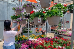 The Home Depot hanging baskets