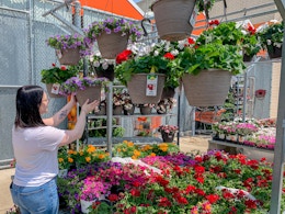 Home Depot Slashes Hanging Baskets to Just $19.88 (Reg. $28) card image