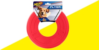 nerf-dog-toy-2023