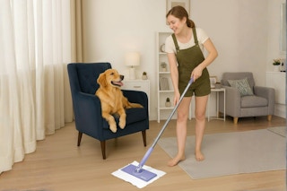 daily-deal-mop-1