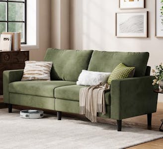 Modern Loveseat Sofa