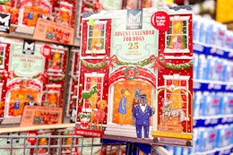 dog treat advent calendar