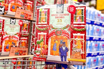 dog treat advent calendar