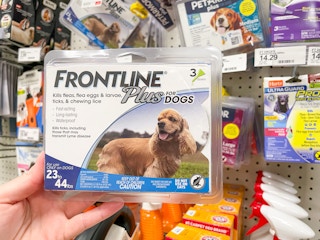 frontline flea & tick