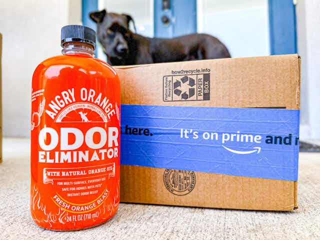 Angry Orange Pet Odor Eliminator, Just $15.27 on Amazon Pet Day card image
