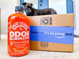 angry orange pet odor Eliminator