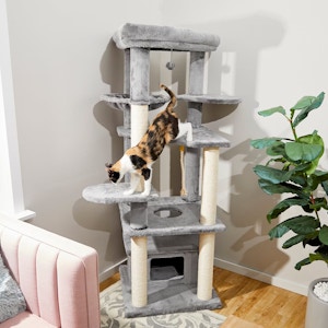 Frisco Cat Tree