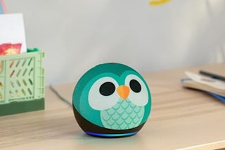 Amazon Echo Dot Owl
