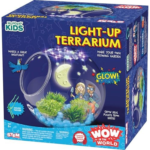 Light-Up Terrarium Kit