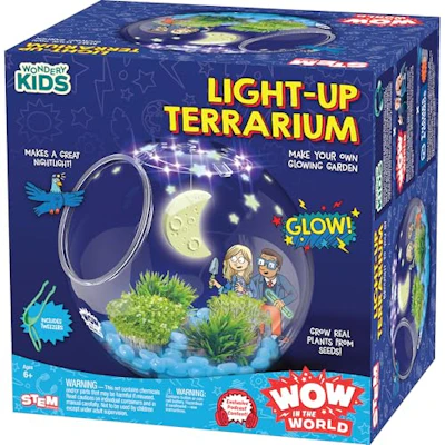 Light-Up Terrarium Kit