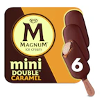 Magnum Mini Ice Cream Bars