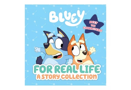 Bluey Book