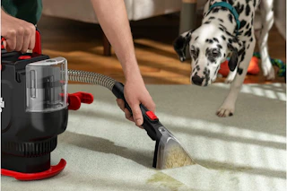 a vacuum being used on a carpet