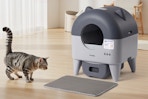 self cleaning litter box