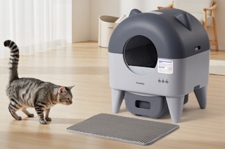 self cleaning litter box