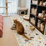Hallway Runner Rug