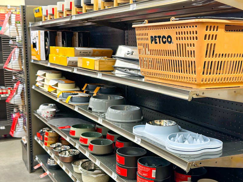 dog bowls on shelves